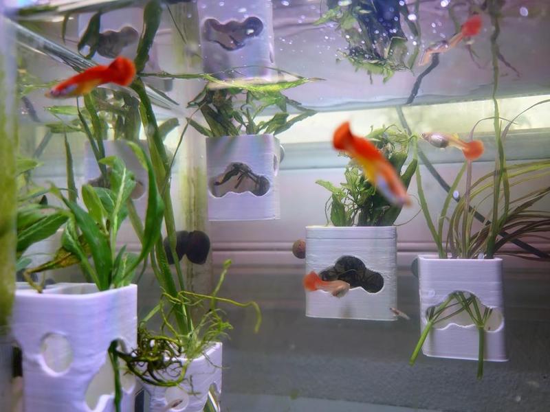 Aquarium planter box for fish tank, aquaponics