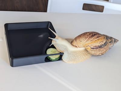 Snail feeder and pool