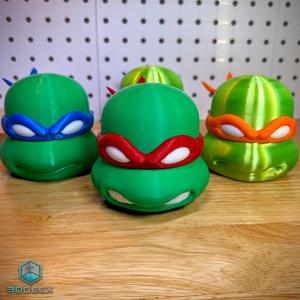 TMNT Modular Head Containers