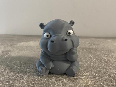Cute little Baby Hippo