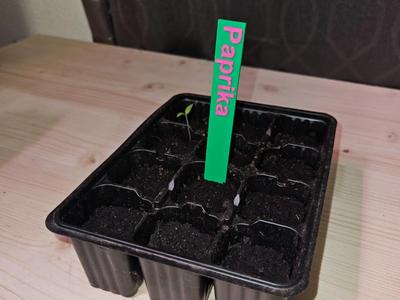 Vegetable labels