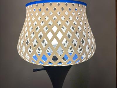 Floor Lamp Shade 2