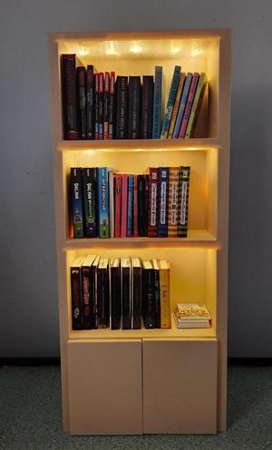Mini Lighted Book Shelf