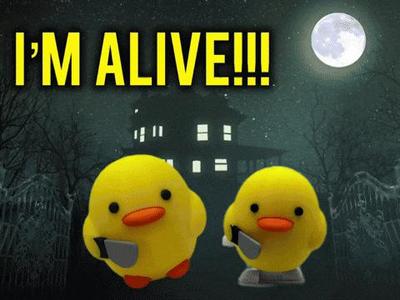 Cute meme duck (New wind up legs)