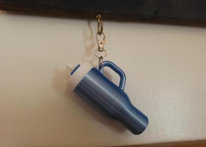 Tumbler inspired Chapley Keychain