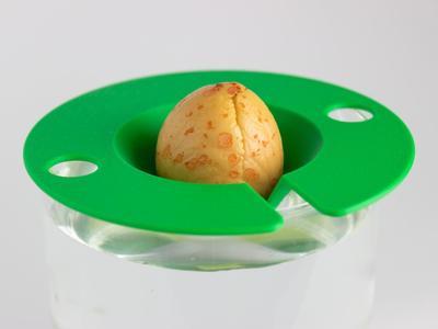 Avocado Seed Holder