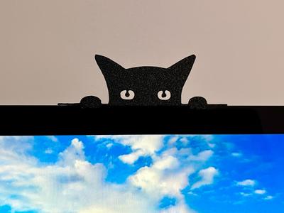 Cat on monitor