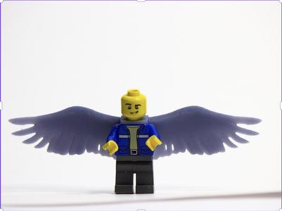 LEGO wings