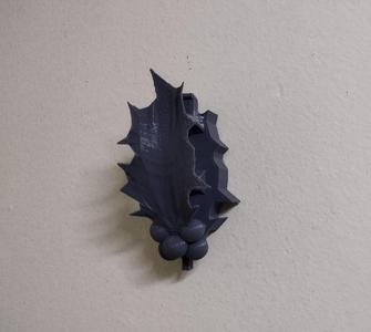 Holly Hanger WHS