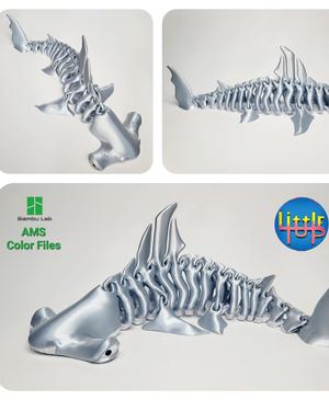 Hammerhead  Shark  Bones