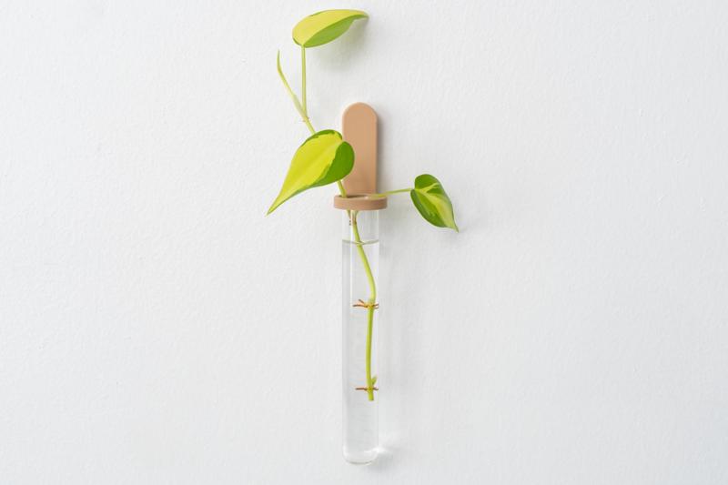 Test Tube Propagation Mount