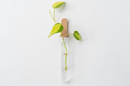 Test Tube Propagation Mount