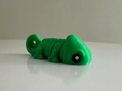 Mini Chameleon – Multicolor