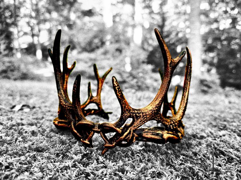 "Crown of Antlers"