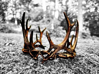 "Crown of Antlers"