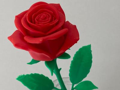 Last moment Mothersday gift  8H print