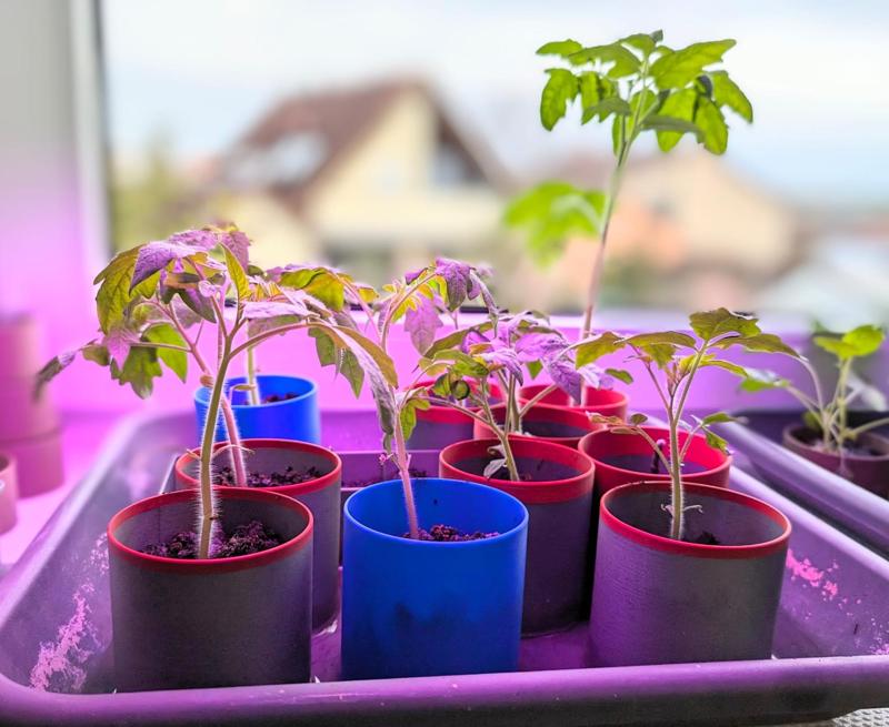 Anzuchttopf 8cm mit entnehmbarem/wechselbarem Boden!