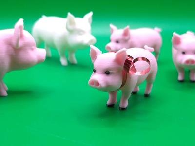 Pig miniature