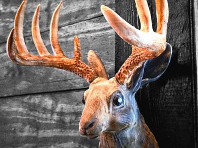 "Jackalope" Wall Mount - Split Antlers