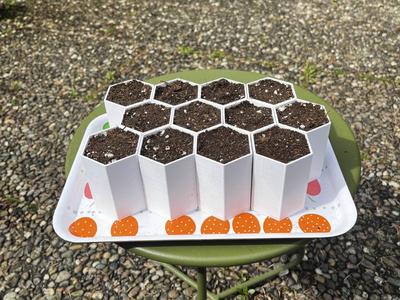 HexaPot V2.0 (Quick Transplanting)