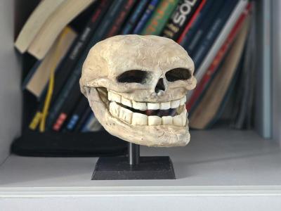 Skull Troll Face (homo trollius)