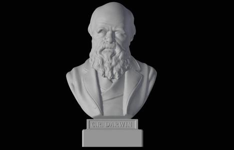 Charles Darwin bust   