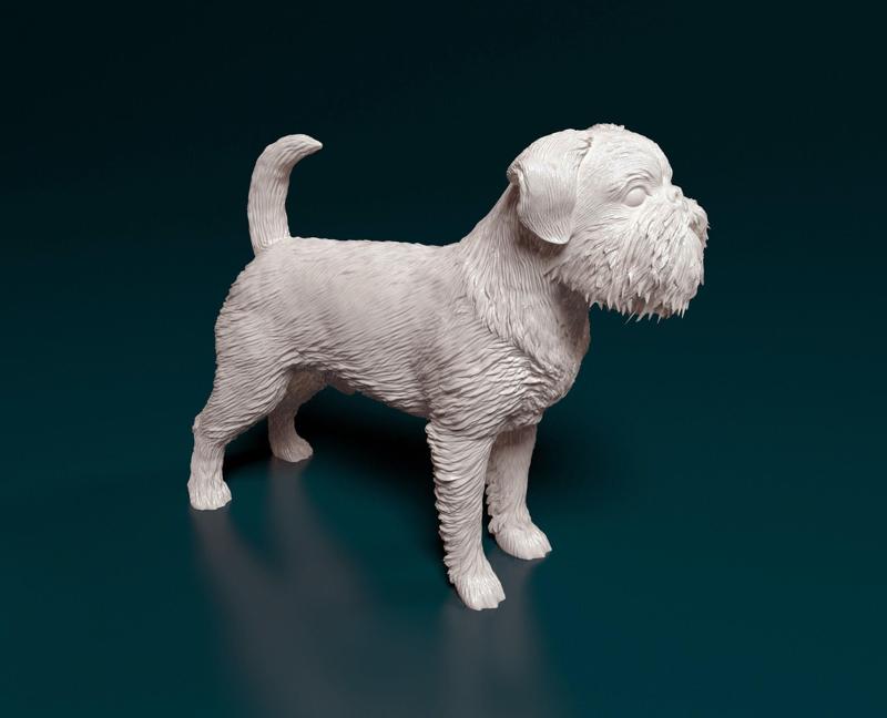 Brussels Griffon