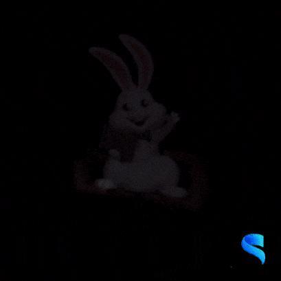 Here! Bunny Sign