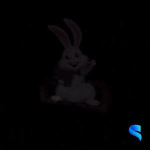 Here! Bunny Sign