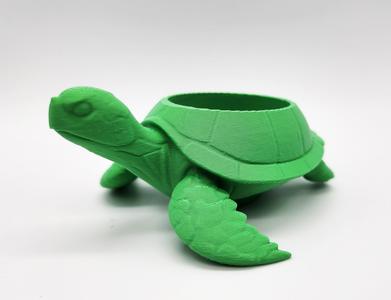 Sea Turtle Succulent Planter 1