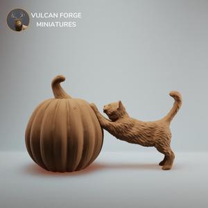 Cute cat stretching on Pumpkin Halloween model - pre supported