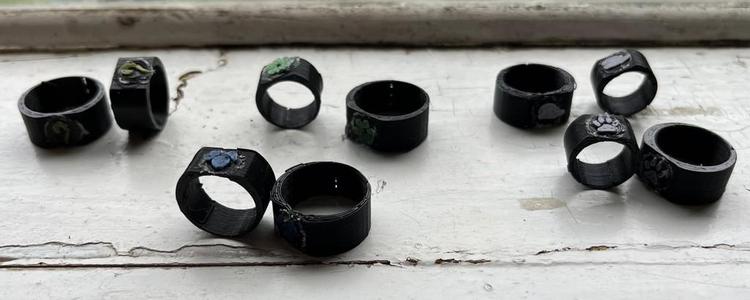 Miraculous Ring