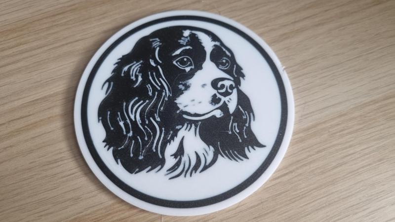 Cavalier King Charles Spaniel Coaster