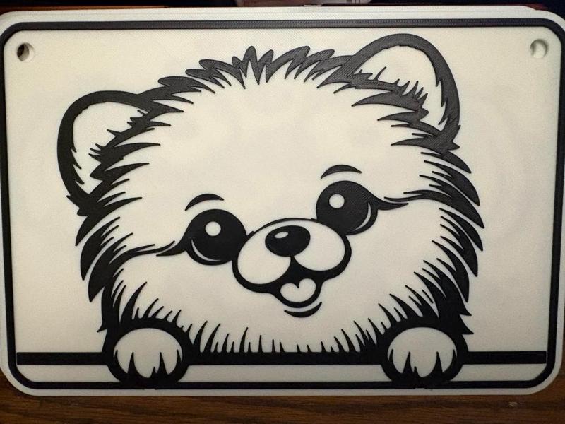 pomeranian