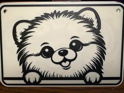 pomeranian