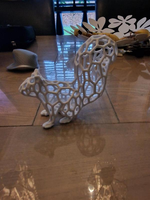 Voronoi Squirrel