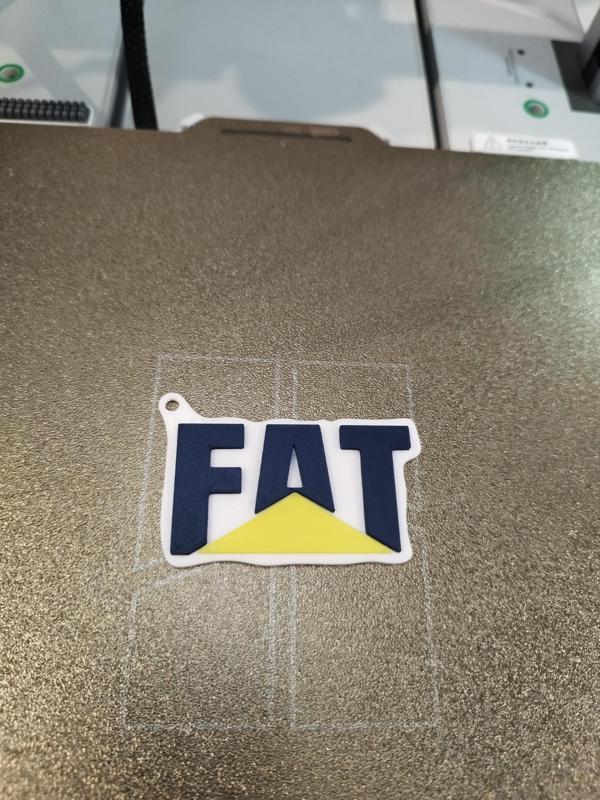 Funny keychain FAT
