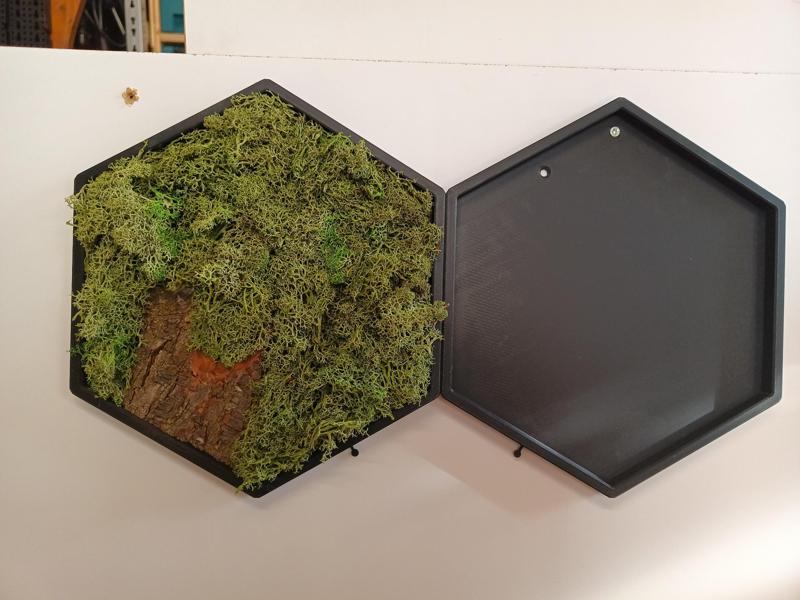 Moosbild Hexagon + Connector