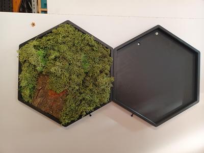 Moosbild Hexagon + Connector