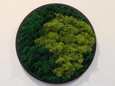 Round Moss Frame