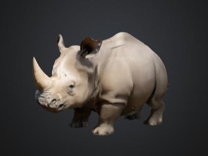 Last filament rhino