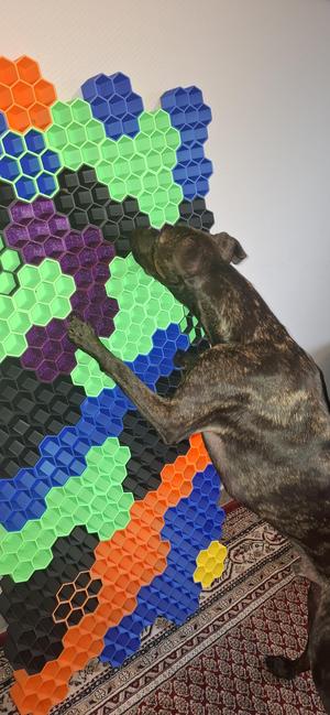 Schnüffelwaben Hundespielzeug