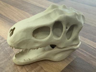 T-rex skull