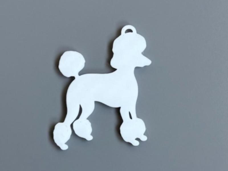 poddle caniche keyholder