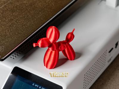 Balloon Dog with Heart
