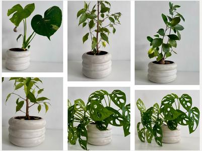 Pot mold 