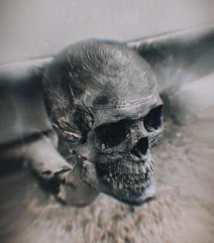 Human skull - car/tow hook cover