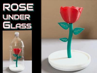 Rose under Glass | Display Dome | 2L Soda Bottle