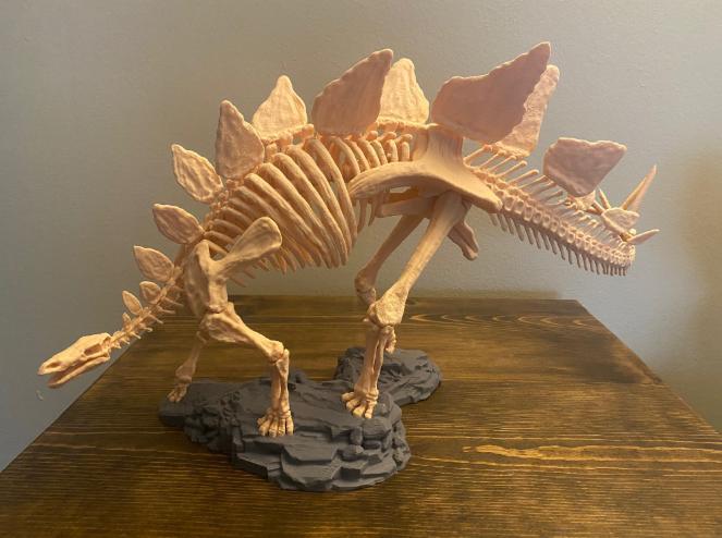 Makerbot Stegosaurus Skeleton Model (All Parts and Presupported)