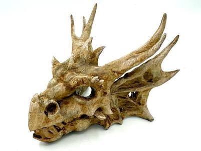 Dragon Skull